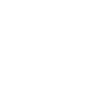 Segway Motors